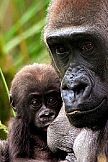 London Zoo